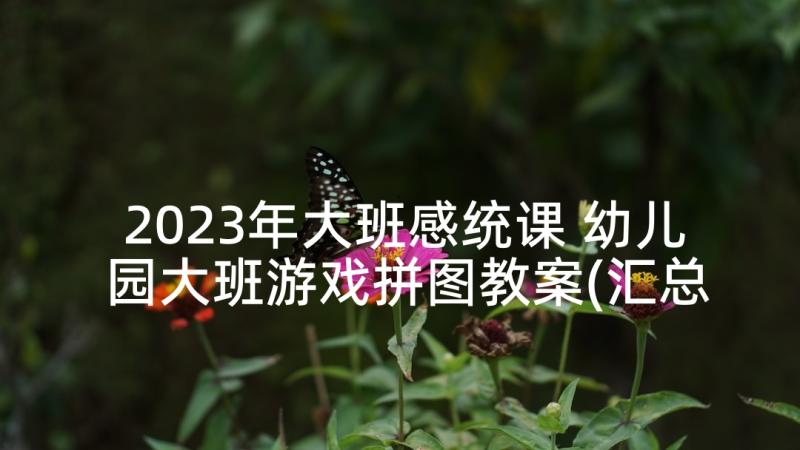 2023年大班感统课 幼儿园大班游戏拼图教案(汇总7篇)