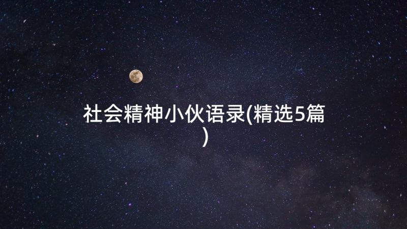 社会精神小伙语录(精选5篇)