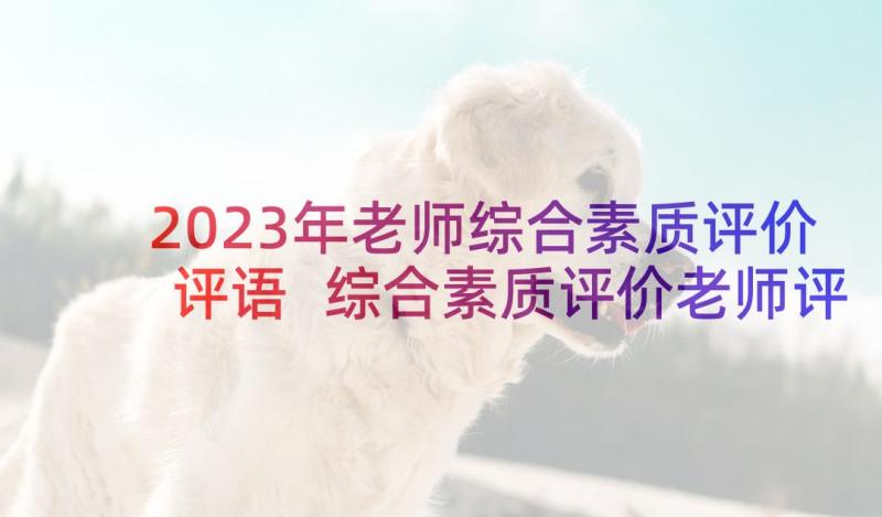 2023年老师综合素质评价评语 综合素质评价老师评语(大全10篇)