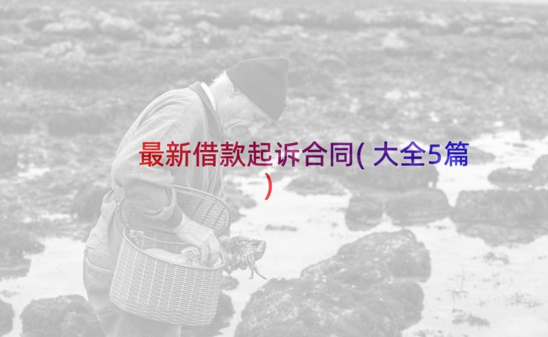 最新借款起诉合同(大全5篇)