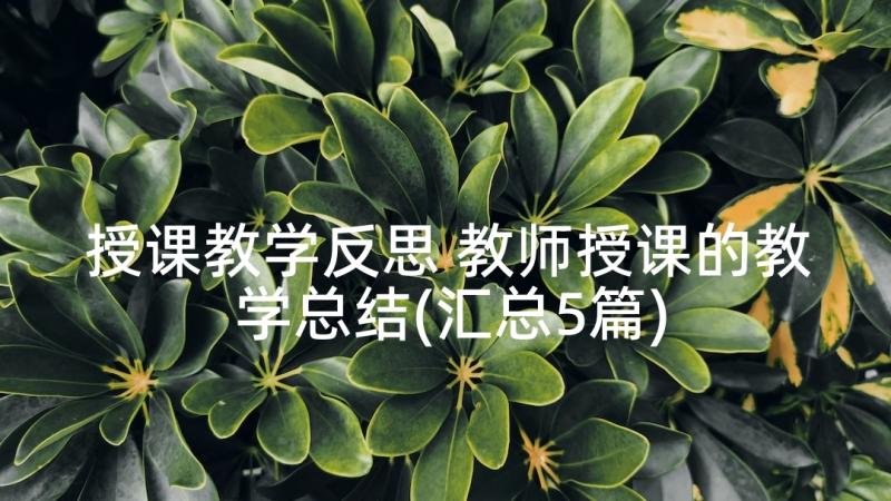 授课教学反思 教师授课的教学总结(汇总5篇)