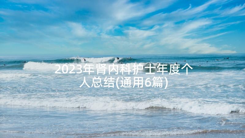 2023年肾内科护士年度个人总结(通用6篇)