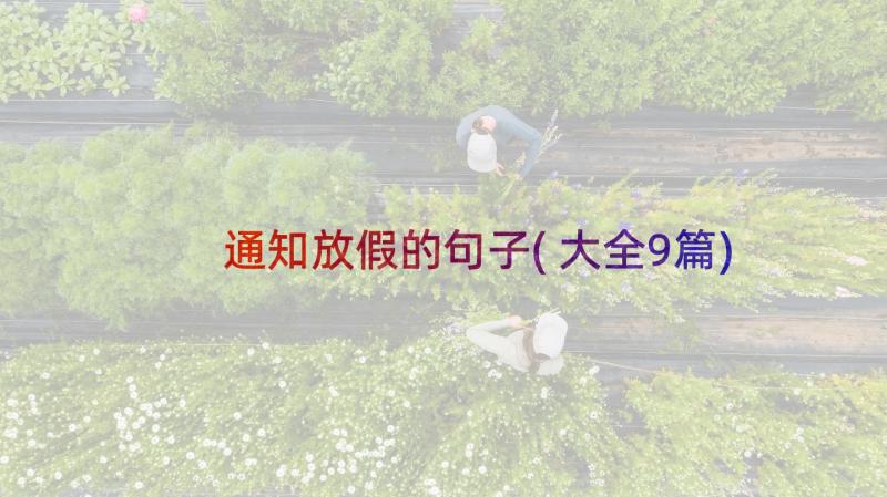 通知放假的句子(大全9篇)