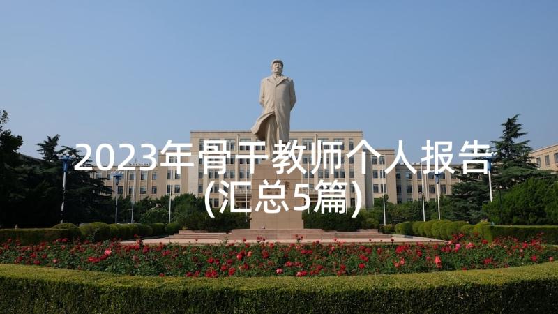 2023年骨干教师个人报告(汇总5篇)