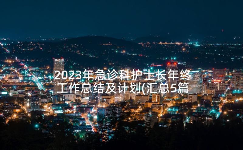 2023年急诊科护士长年终工作总结及计划(汇总5篇)