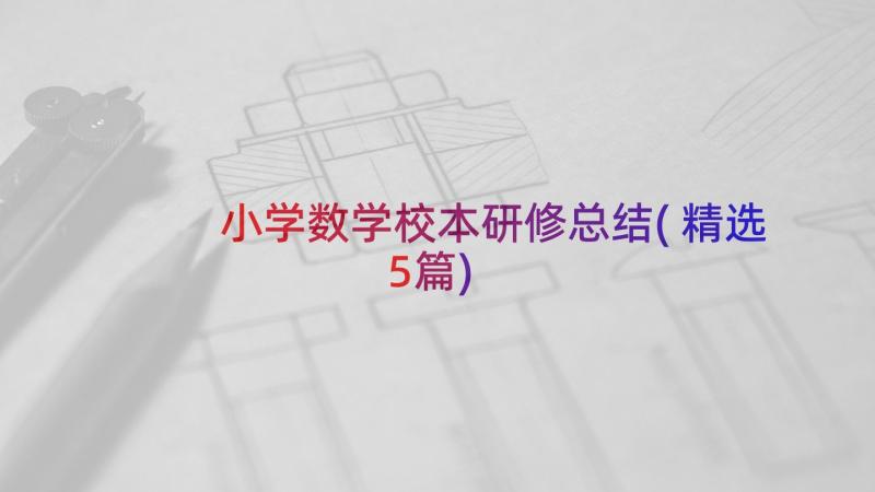 小学数学校本研修总结(精选5篇)