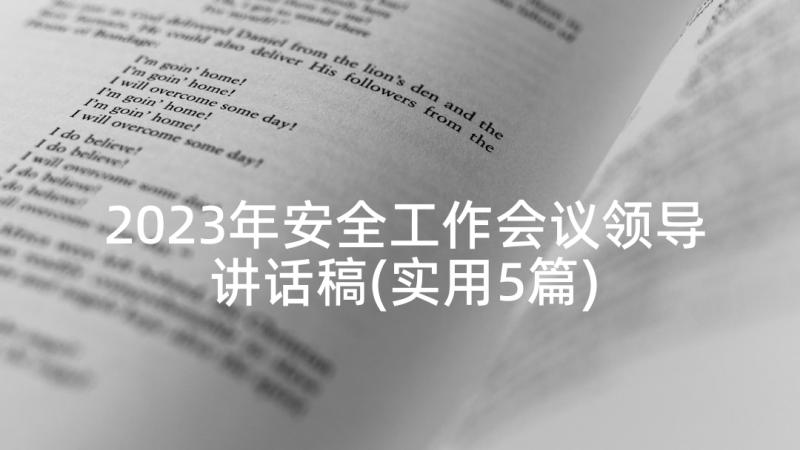 2023年安全工作会议领导讲话稿(实用5篇)