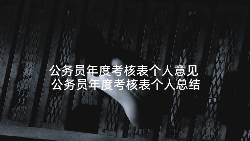 公务员年度考核表个人意见 公务员年度考核表个人总结(优质9篇)