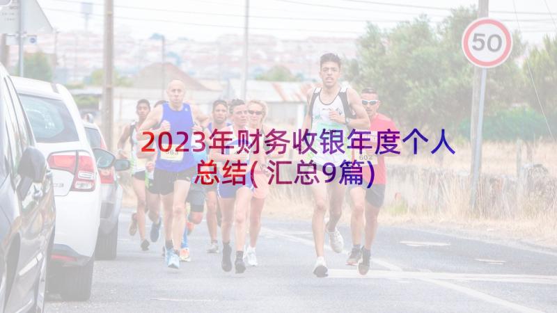 2023年财务收银年度个人总结(汇总9篇)