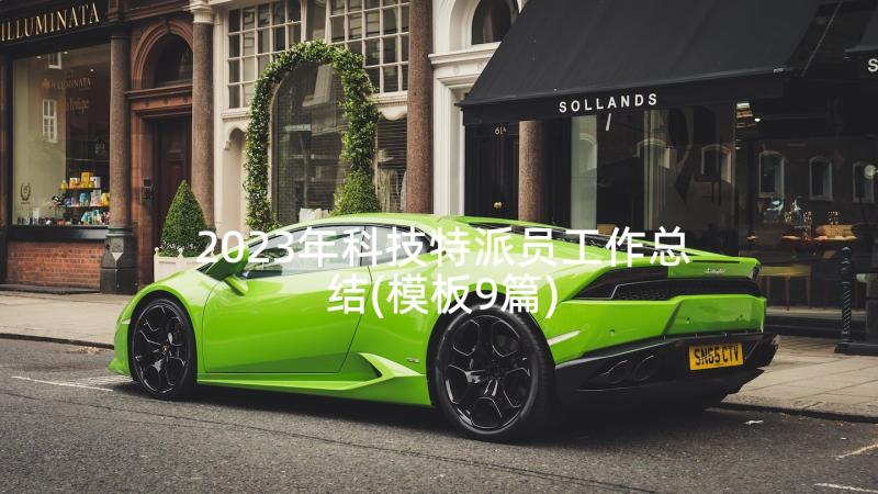 2023年科技特派员工作总结(模板9篇)