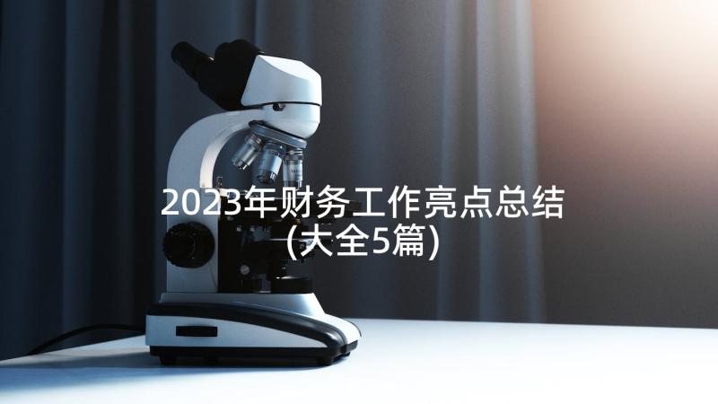 2023年财务工作亮点总结(大全5篇)