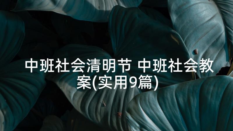 中班社会清明节 中班社会教案(实用9篇)