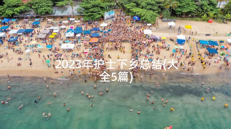 2023年护士下乡总结(大全5篇)