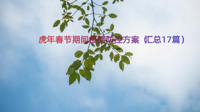 虎年春节期间疫情防控方案（汇总17篇）