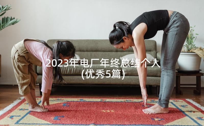 2023年电厂年终总结个人(优秀5篇)