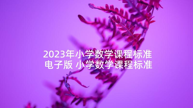 2023年小学数学课程标准电子版 小学数学课程标准心得体会(通用6篇)