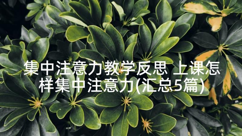 集中注意力教学反思 上课怎样集中注意力(汇总5篇)