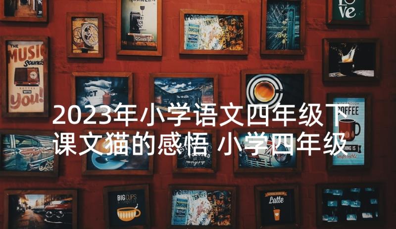 2023年小学语文四年级下课文猫的感悟 小学四年级语文课文教案(实用5篇)