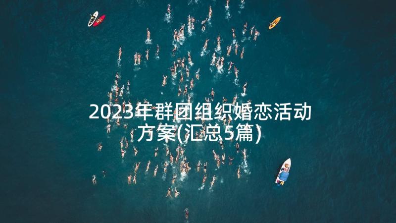 2023年群团组织婚恋活动方案(汇总5篇)