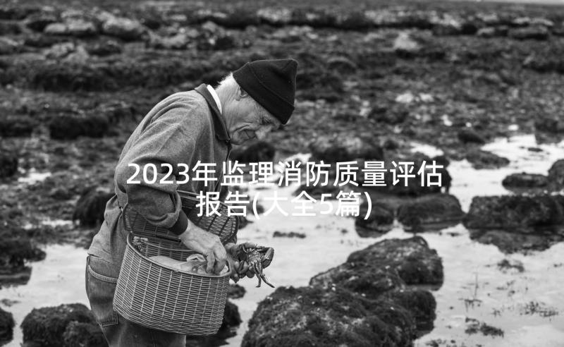 2023年监理消防质量评估报告(大全5篇)