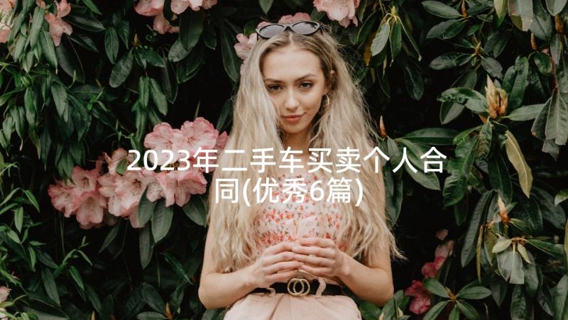 2023年二手车买卖个人合同(优秀6篇)