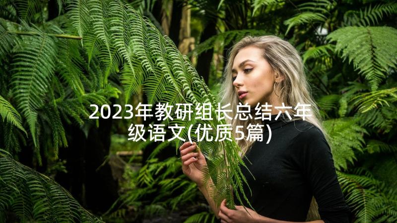 2023年教研组长总结六年级语文(优质5篇)