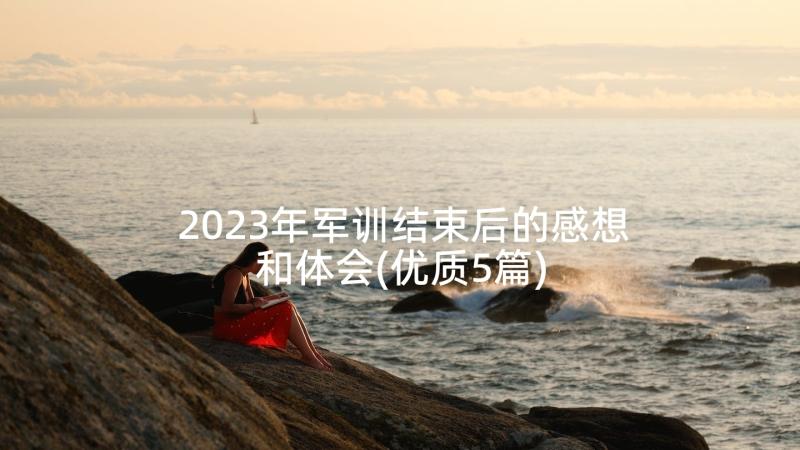 2023年军训结束后的感想和体会(优质5篇)