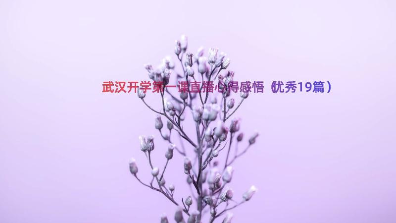 武汉开学第一课直播心得感悟（优秀19篇）