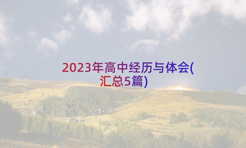 2023年高中经历与体会(汇总5篇)