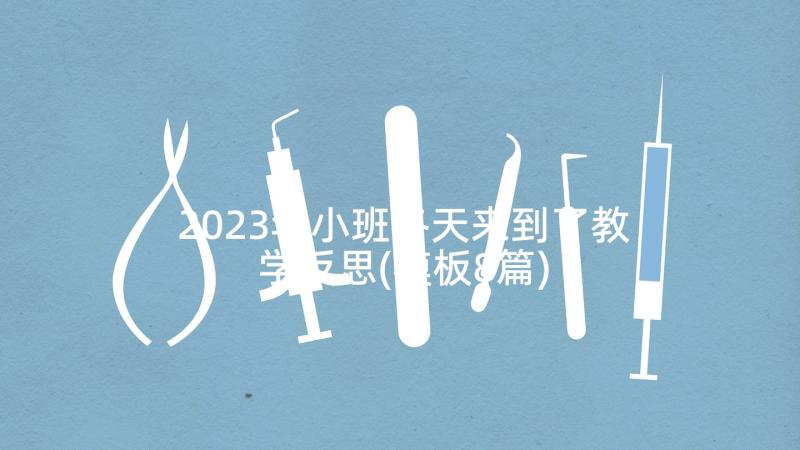 2023年小班冬天来到了教学反思(模板8篇)