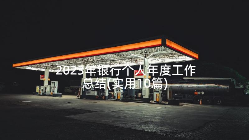 2023年银行个人年度工作总结(实用10篇)