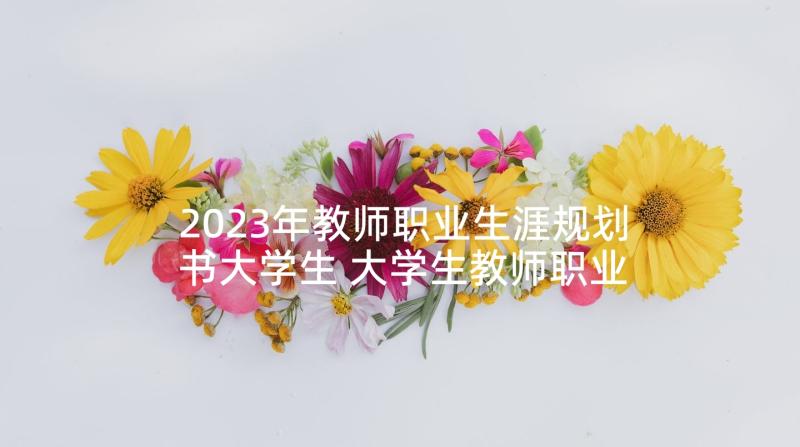 2023年教师职业生涯规划书大学生 大学生教师职业生涯规划书(大全5篇)