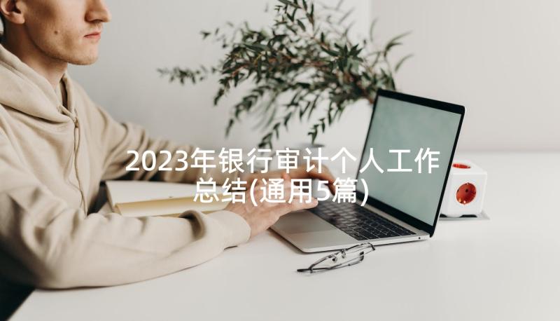 2023年银行审计个人工作总结(通用5篇)