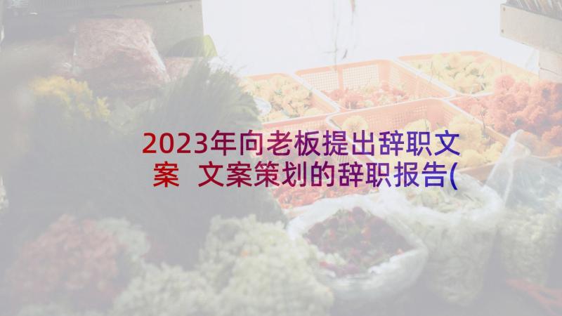 2023年向老板提出辞职文案 文案策划的辞职报告(大全8篇)