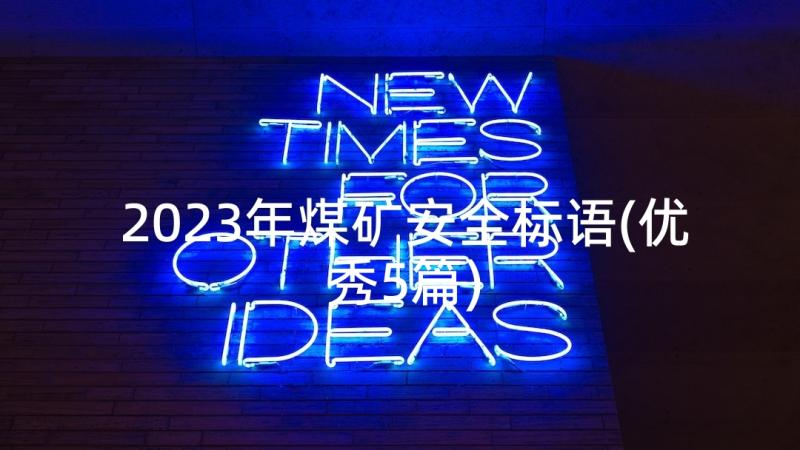 2023年煤矿安全标语(优秀5篇)