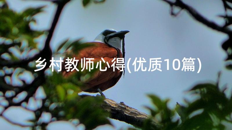 乡村教师心得(优质10篇)