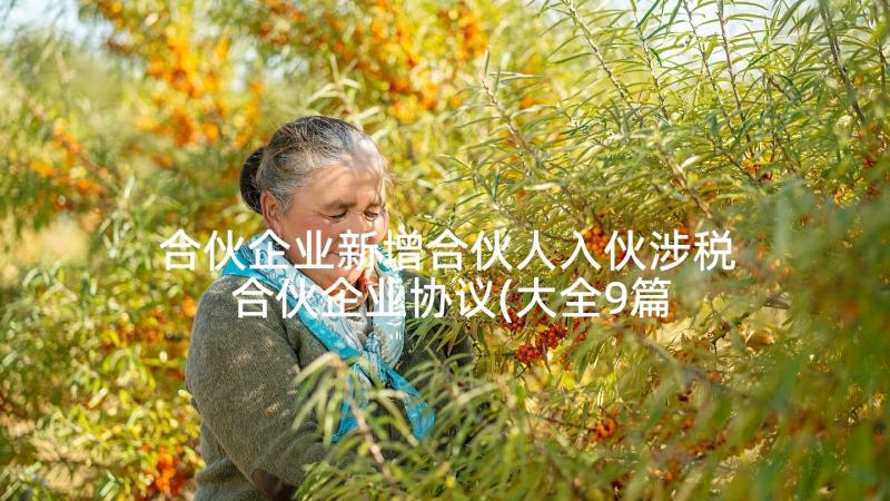 合伙企业新增合伙人入伙涉税 合伙企业协议(大全9篇)