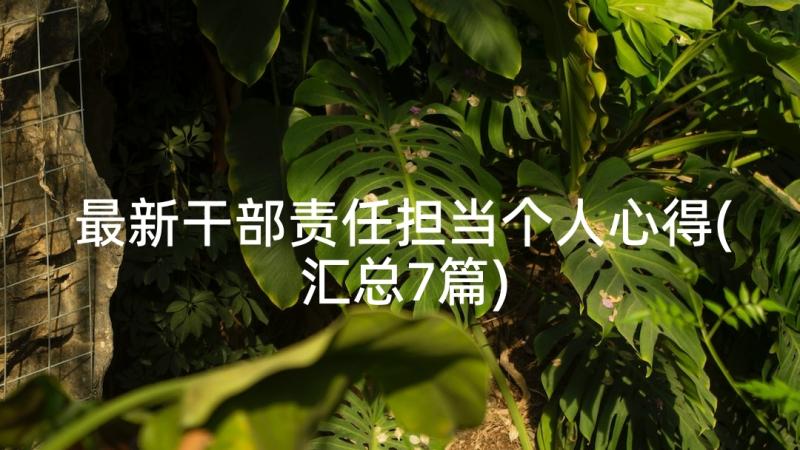 最新干部责任担当个人心得(汇总7篇)