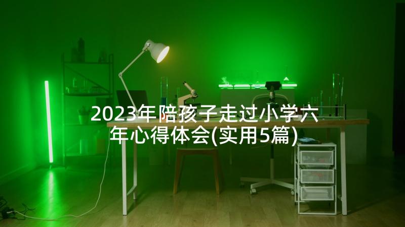 2023年陪孩子走过小学六年心得体会(实用5篇)