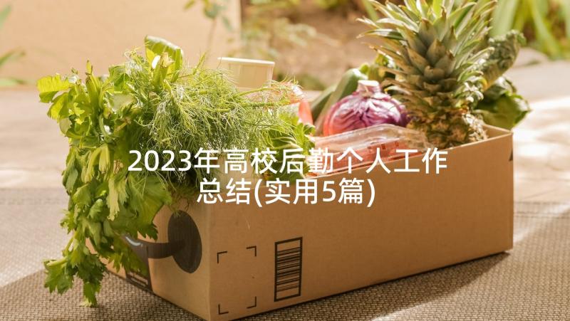 2023年高校后勤个人工作总结(实用5篇)