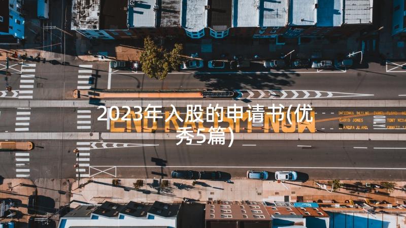 2023年入股的申请书(优秀5篇)