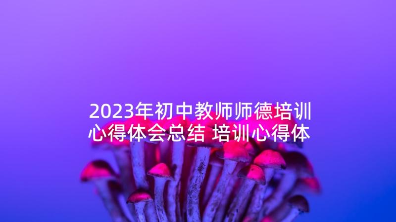 2023年初中教师师德培训心得体会总结 培训心得体会教师师德修养(精选6篇)