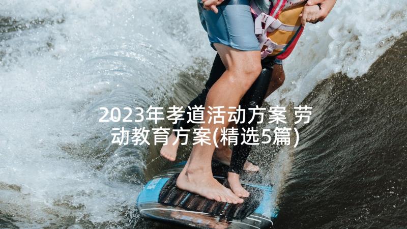 2023年孝道活动方案 劳动教育方案(精选5篇)