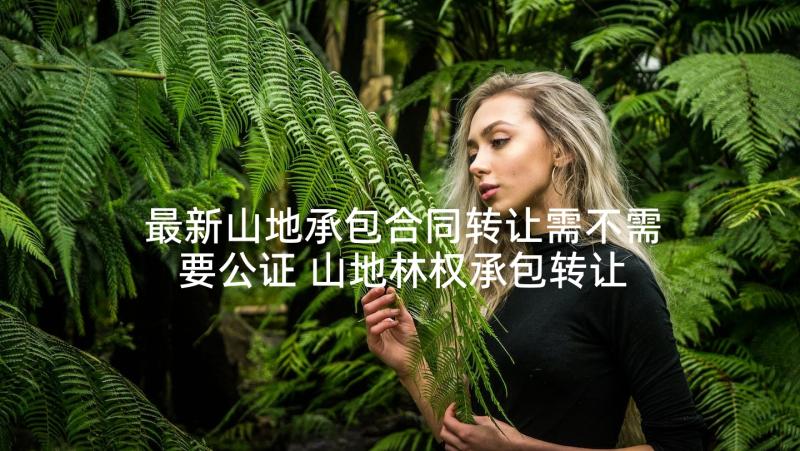 最新山地承包合同转让需不需要公证 山地林权承包转让合同(大全5篇)