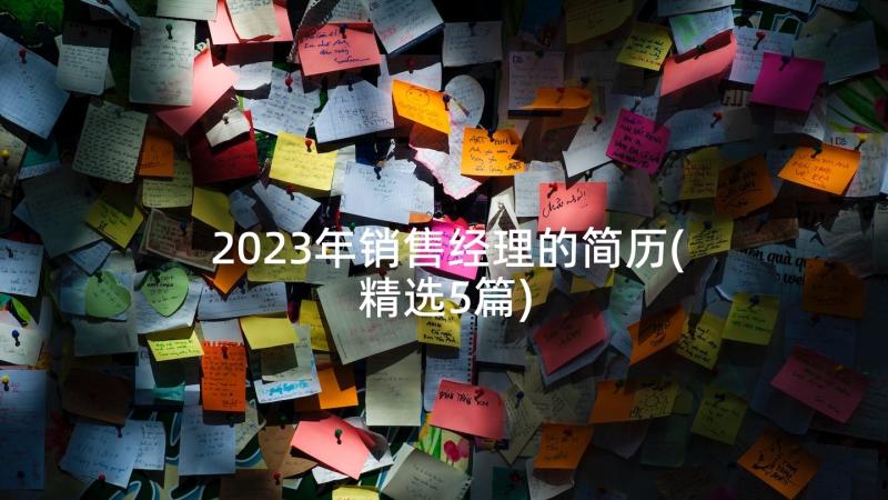 2023年销售经理的简历(精选5篇)