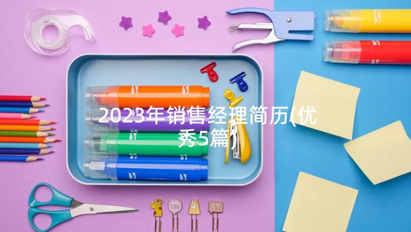 2023年销售经理简历(优秀5篇)