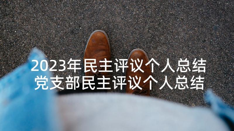 2023年民主评议个人总结 党支部民主评议个人总结(模板8篇)