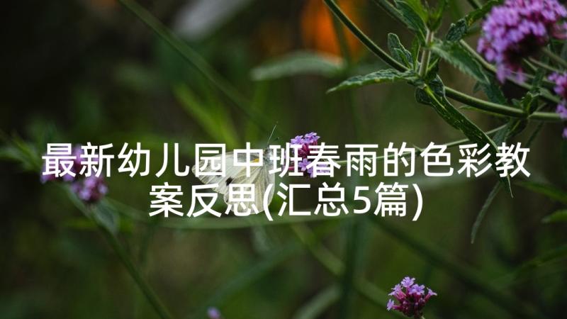 最新幼儿园中班春雨的色彩教案反思(汇总5篇)