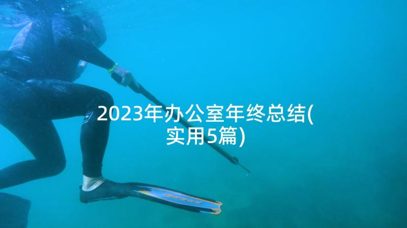 2023年办公室年终总结(实用5篇)