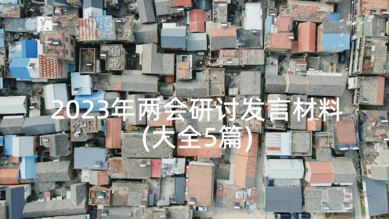 2023年两会研讨发言材料(大全5篇)